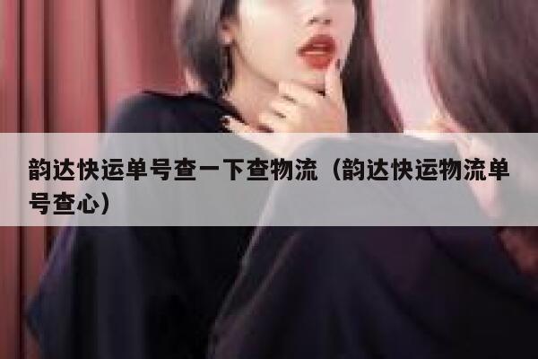 韵达快运单号查一下查物流（韵达快运物流单号查心） 第1张