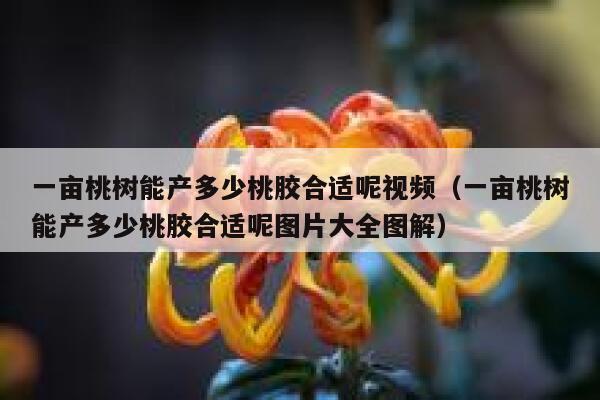 一亩桃树能产多少桃胶合适呢视频（一亩桃树能产多少桃胶合适呢图片大全图解） 第1张
