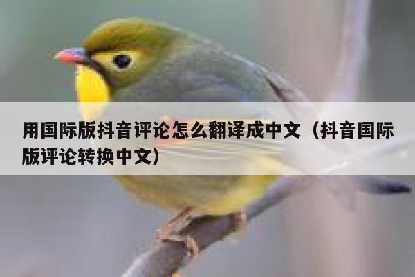 用国际版抖音评论怎么翻译成中文（抖音国际版评论转换中文） 第1张