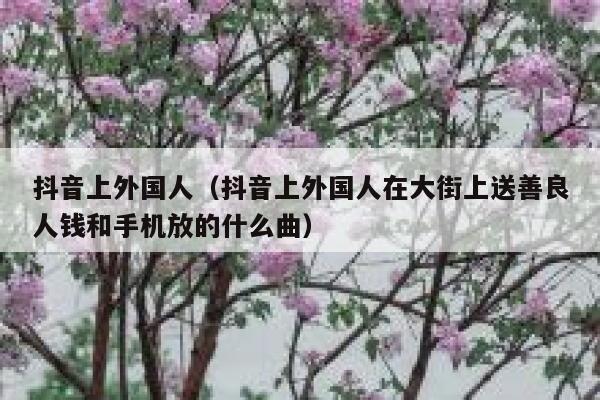 抖音上外国人(抖音上外国人在大街上送善良人钱和手机放的什么曲) 第1张 抖音上外国人(抖音上外国人在大街上送善良人钱和手机放的什么曲) 第1张