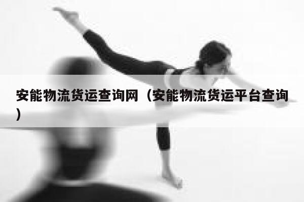 安能物流货运查询网（安能物流货运平台查询） 第1张