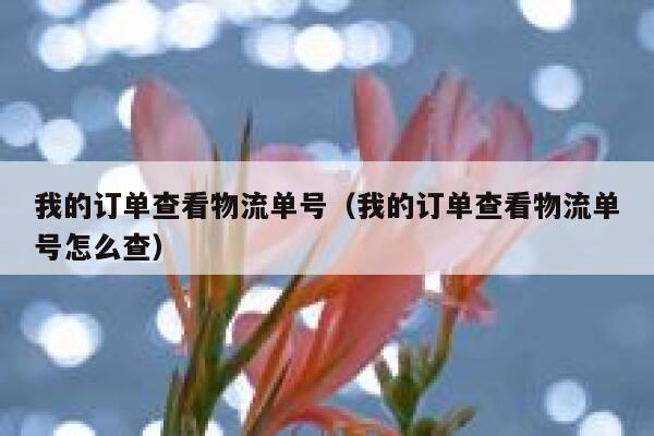 我的订单查看物流单号(我的订单查看物流单号怎么查) 第1张 我的订单查看物流单号(我的订单查看物流单号怎么查) 第1张