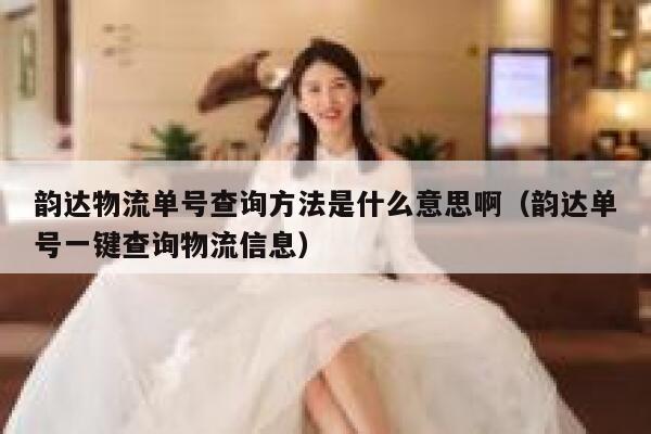 韵达物流单号查询方法是什么意思啊（韵达单号一键查询物流信息） 第1张