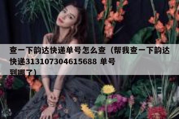 查一下韵达快递单号怎么查（帮我查一下韵达快递313107304615688 单号到哪了） 第1张