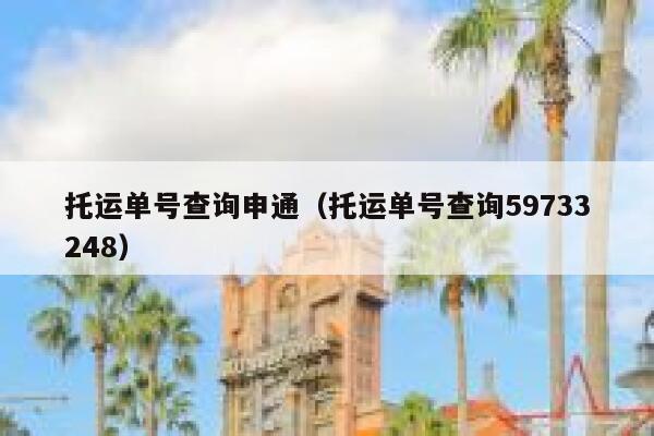 托运单号查询申通（托运单号查询59733248） 第1张