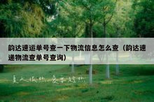 韵达速运单号查一下物流信息怎么查（韵达速递物流查单号查询） 第1张