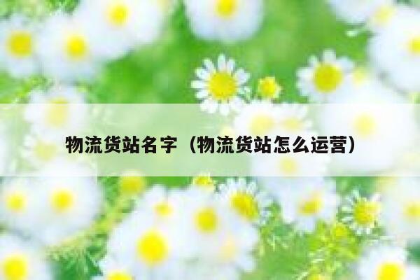 物流货站名字（物流货站怎么运营） 第1张
