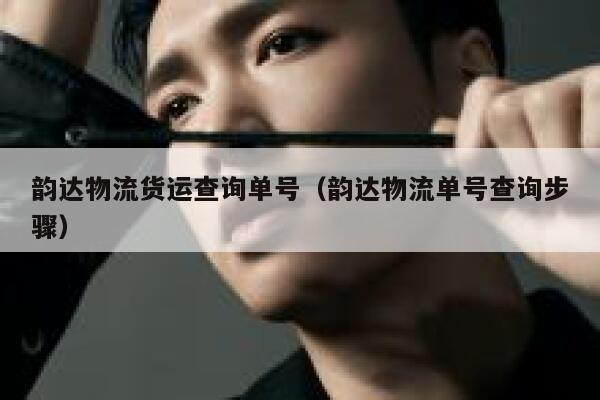 韵达物流货运查询单号(韵达物流单号查询步骤) 第1张 韵达物流货运查询单号(韵达物流单号查询步骤) 第1张