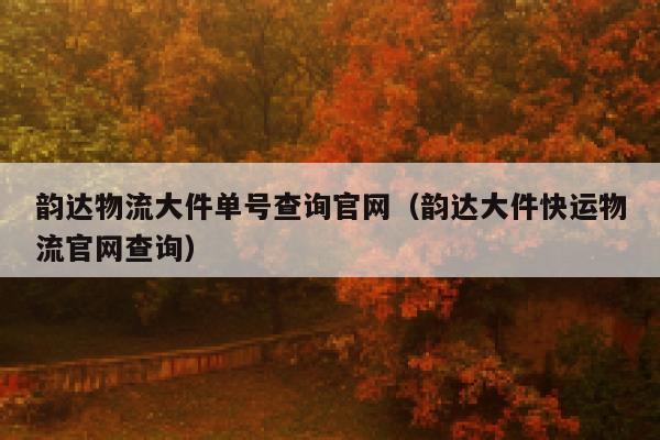 韵达物流大件单号查询官网（韵达大件快运物流官网查询） 第1张