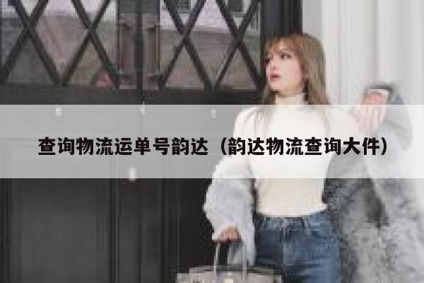 查询物流运单号韵达（韵达物流查询大件） 第1张