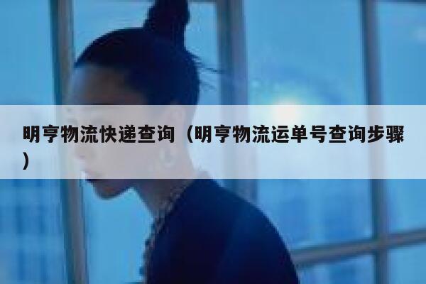 明亨物流快递查询（明亨物流运单号查询步骤） 第1张