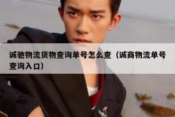 诚驰物流货物查询单号怎么查（诚商物流单号查询入口） 第1张