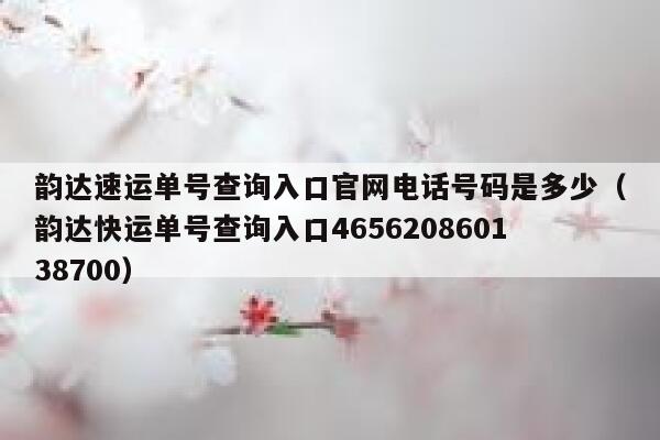 韵达速运单号查询入口官网电话号码是多少（韵达快运单号查询入口465620860138700） 第1张