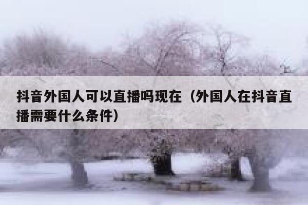 抖音外国人可以直播吗现在(外国人在抖音直播需要什么条件) 第1张 抖音外国人可以直播吗现在(外国人在抖音直播需要什么条件) 第1张
