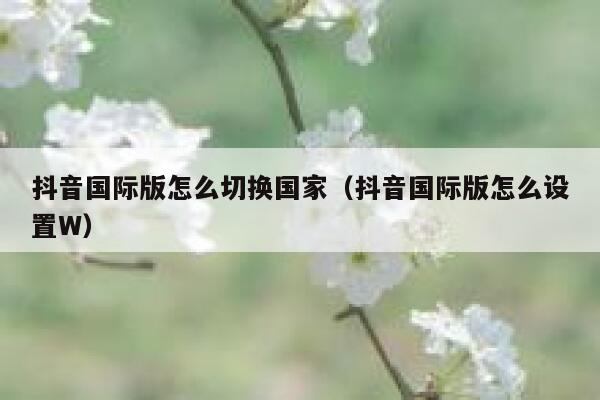 抖音国际版怎么切换国家（抖音国际版怎么设置W） 第1张