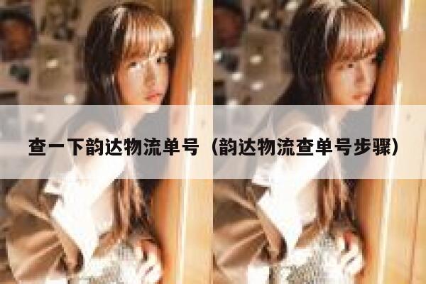 查一下韵达物流单号（韵达物流查单号步骤） 第1张