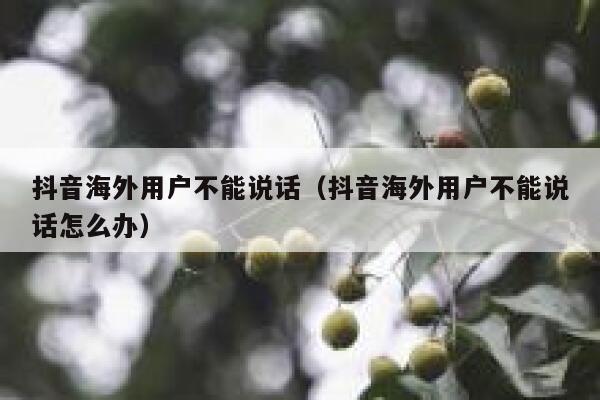 抖音海外用户不能说话（抖音海外用户不能说话怎么办） 第1张
