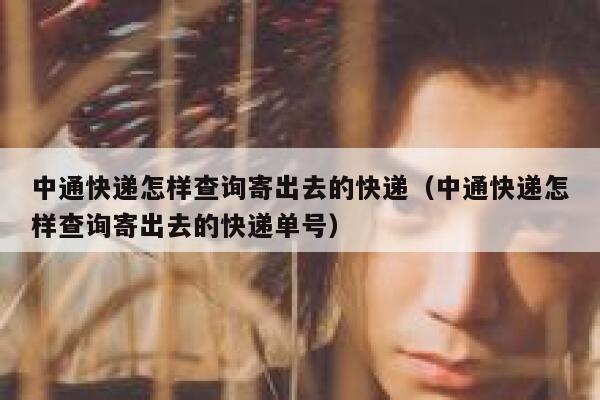 中通快递怎样查询寄出去的快递（中通快递怎样查询寄出去的快递单号） 第1张