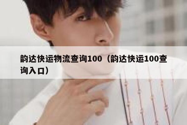 韵达快运物流查询100（韵达快运100查询入口） 第1张