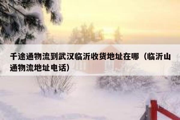 千途通物流到武汉临沂收货地址在哪（临沂山通物流地址电话） 第1张