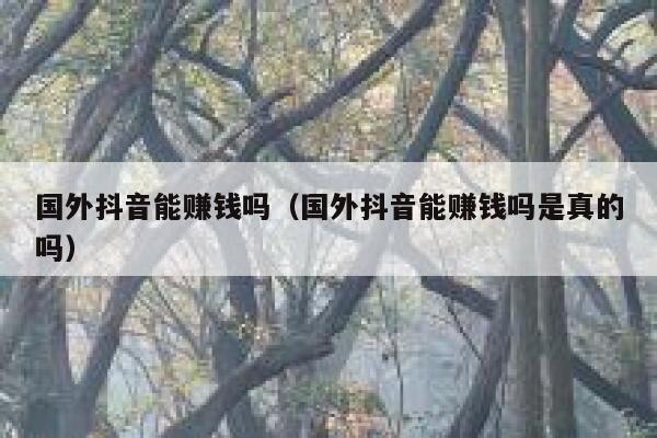 国外抖音能赚钱吗(国外抖音能赚钱吗是真的吗) 第1张 国外抖音能赚钱吗(国外抖音能赚钱吗是真的吗) 第1张