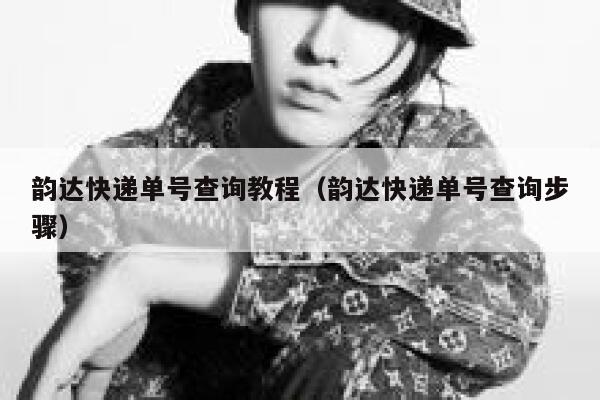 韵达快递单号查询教程（韵达快递单号查询步骤） 第1张