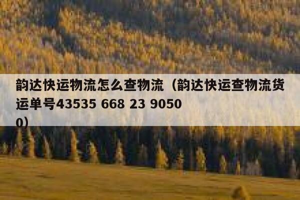 韵达快运物流怎么查物流（韵达快运查物流货运单号43535 668 23 90500） 第1张
