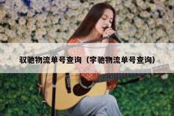 驭驰物流单号查询（宇驰物流单号查询） 第1张