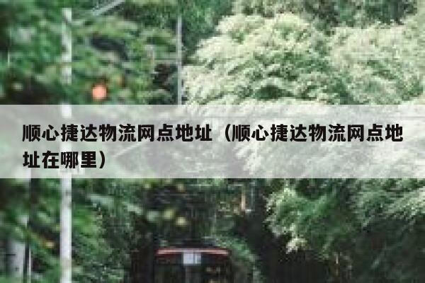 顺心捷达物流网点地址（顺心捷达物流网点地址在哪里） 第1张