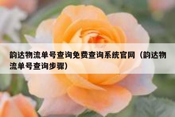 韵达物流单号查询免费查询系统官网（韵达物流单号查询步骤） 第1张