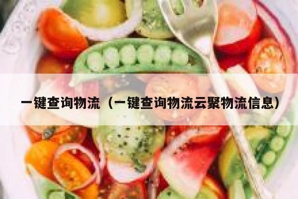 一键查询物流（一键查询物流云聚物流信息） 第1张
