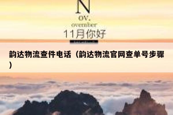 韵达物流查件电话（韵达物流官网查单号步骤） 第1张
