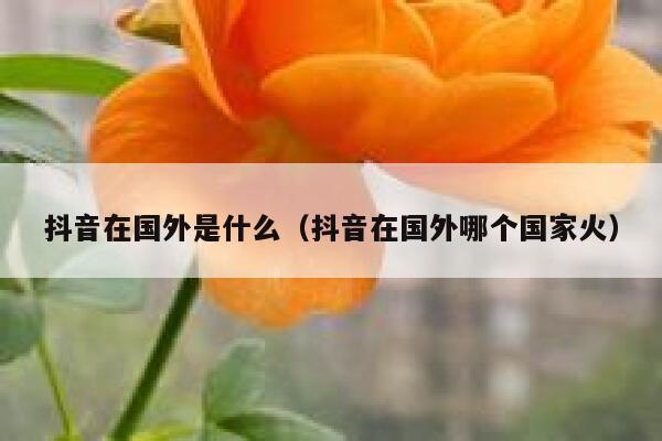 抖音在国外是什么（抖音在国外哪个国家火） 第1张