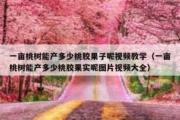 一亩桃树能产多少桃胶果子呢视频教学（一亩桃树能产多少桃胶果实呢图片视频大全） 第1张