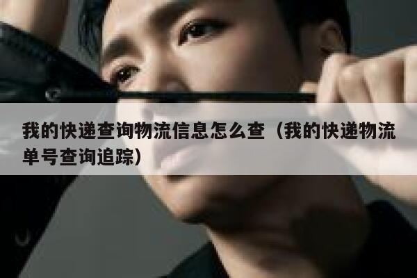 我的快递查询物流信息怎么查（我的快递物流单号查询追踪） 第1张
