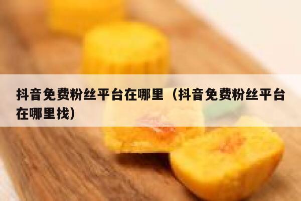 抖音免费粉丝平台在哪里（抖音免费粉丝平台在哪里找） 第1张