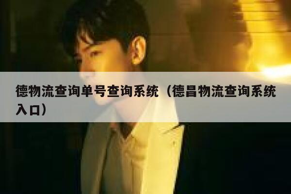 德物流查询单号查询系统（德昌物流查询系统入口） 第1张