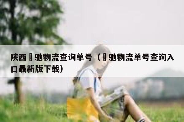 陕西犇驰物流查询单号（犇驰物流单号查询入口最新版下载） 第1张
