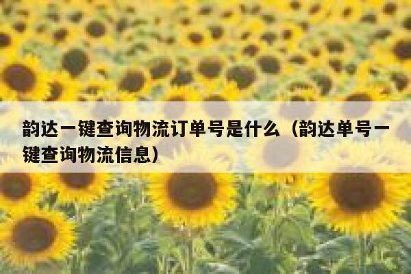 韵达一键查询物流订单号是什么（韵达单号一键查询物流信息） 第1张