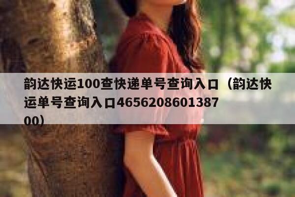 韵达快运100查快递单号查询入口（韵达快运单号查询入口465620860138700） 第1张