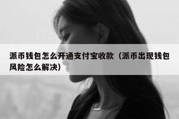 派币钱包怎么开通支付宝收款（派币出现钱包风险怎么解决） 第1张