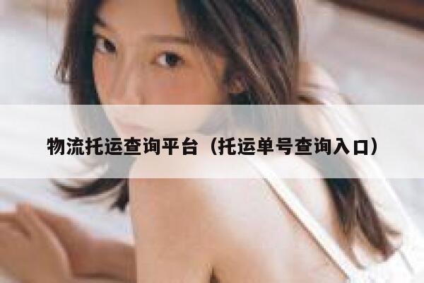 物流托运查询平台（托运单号查询入口） 第1张