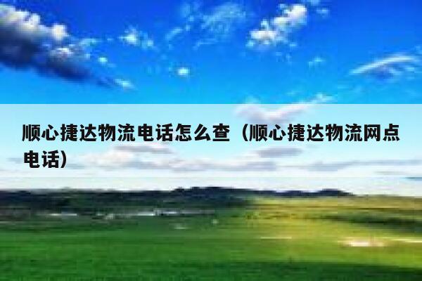 顺心捷达物流电话怎么查（顺心捷达物流网点电话） 第1张