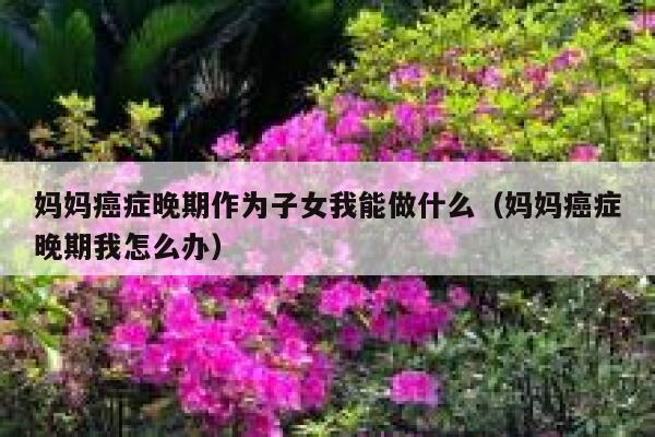 妈妈癌症晚期作为子女我能做什么(妈妈癌症晚期我怎么办) 第1张 妈妈癌症晚期作为子女我能做什么(妈妈癌症晚期我怎么办) 第1张