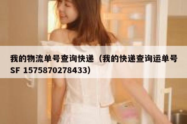 我的物流单号查询快递（我的快递查询运单号SF 1575870278433） 第1张