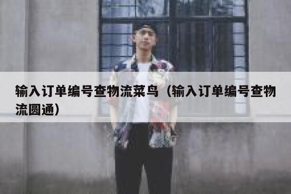 输入订单编号查物流菜鸟（输入订单编号查物流圆通） 第1张