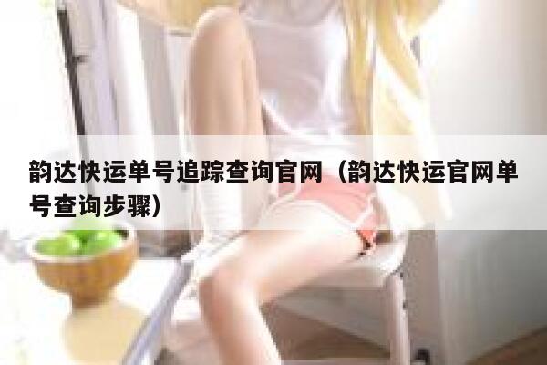 韵达快运单号追踪查询官网（韵达快运官网单号查询步骤） 第1张