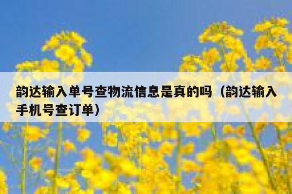 韵达输入单号查物流信息是真的吗（韵达输入手机号查订单） 第1张
