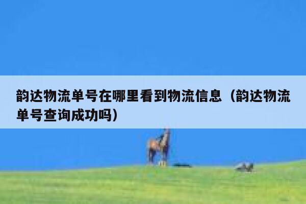 韵达物流单号在哪里看到物流信息（韵达物流单号查询成功吗） 第1张