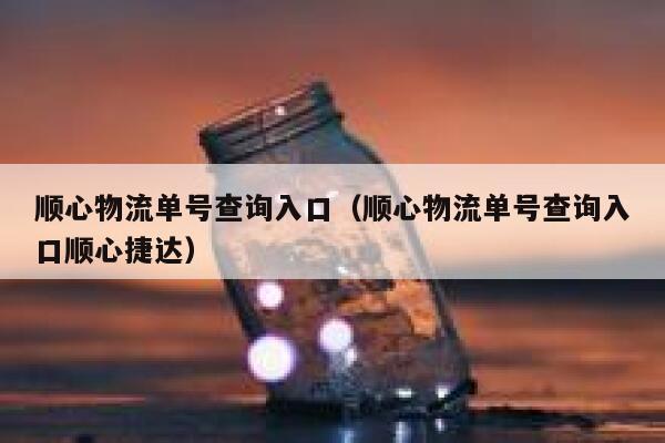 顺心物流单号查询入口（顺心物流单号查询入口顺心捷达） 第1张